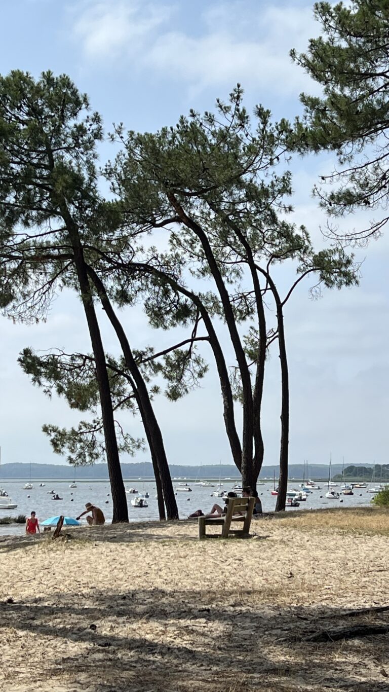 Bassin d'Arcachon