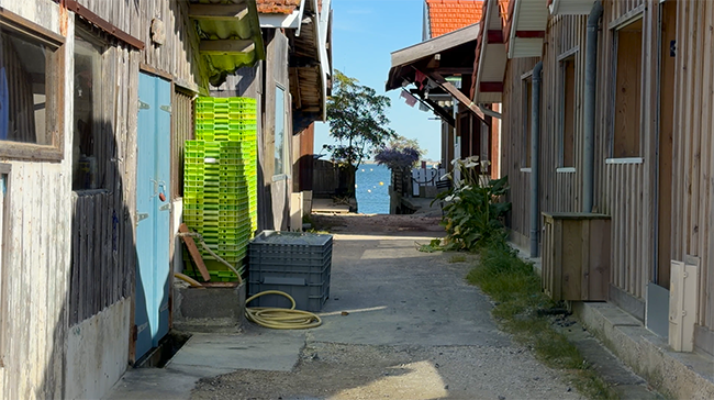Port de Piraillan : un port discret du Cap Ferret à découvrir