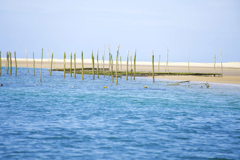 Bassin d'arcachon, banc d'arguin