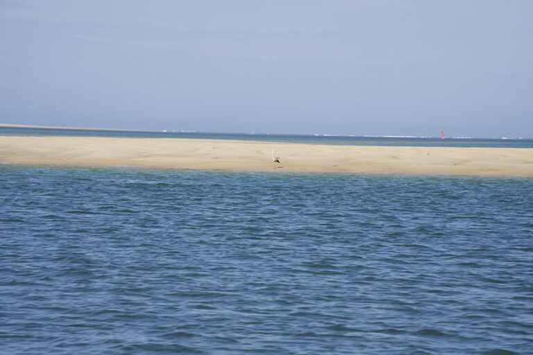 reserve ornithologique