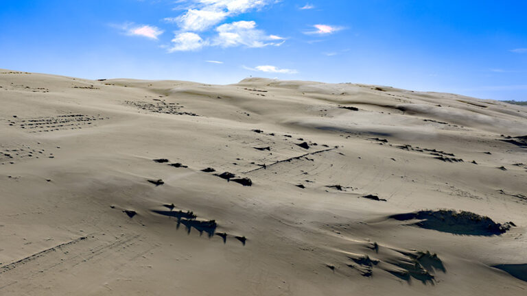 Archéologie sur la dune du pyla