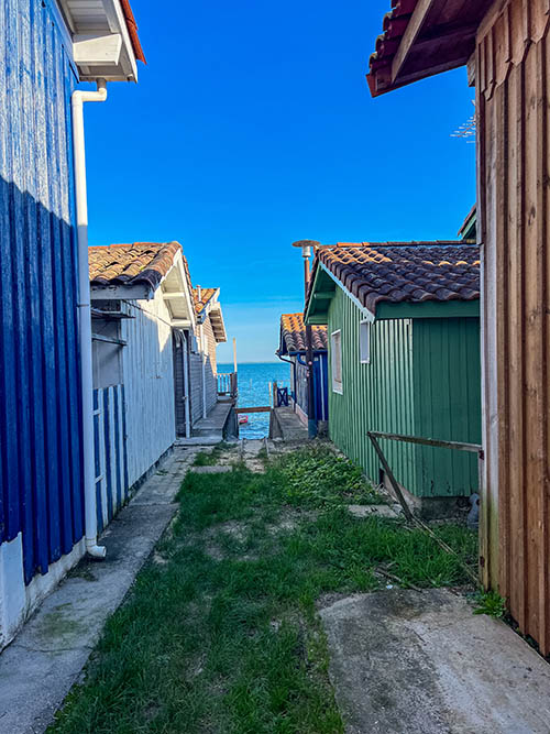 cap ferret canon