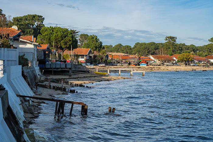 cap ferret canon