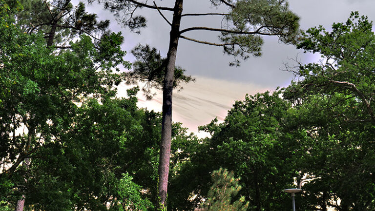 Tempête sur la dune du Pyla