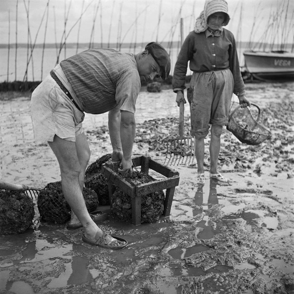 histoire huitre bassin d'arcachon