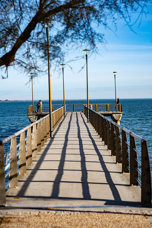 cap ferret canon