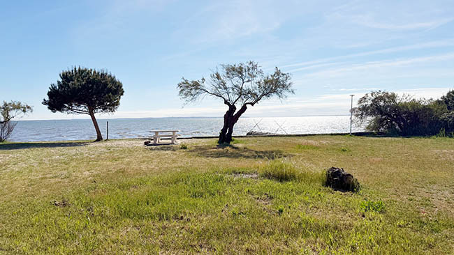 tamaris bassin arcachon