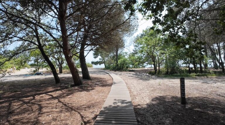 Plage nord bassin d'arcachon