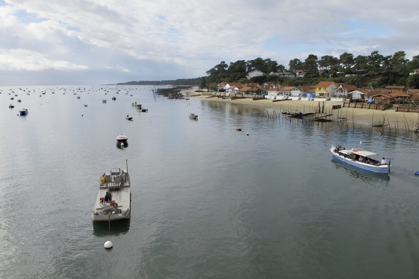 Bassin d'arcachon